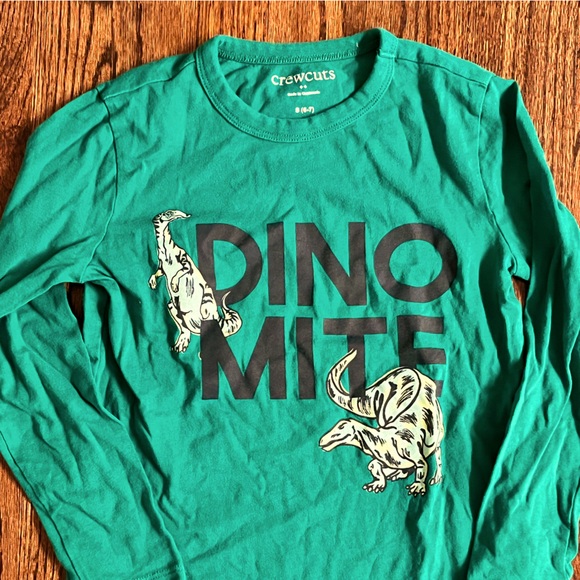 EUC crewcuts long sleeve t-shirts size 6-7 - Picture 2 of 3